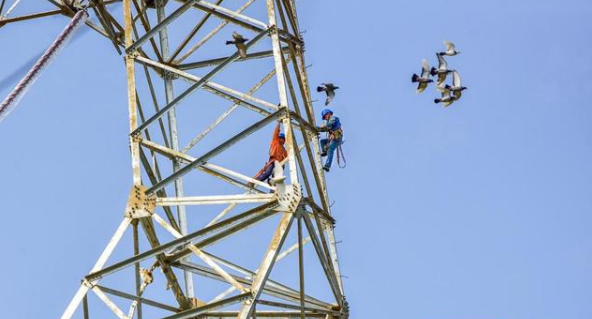 IKAR防坠器保障湖南望城500千伏变电站建设快步向前